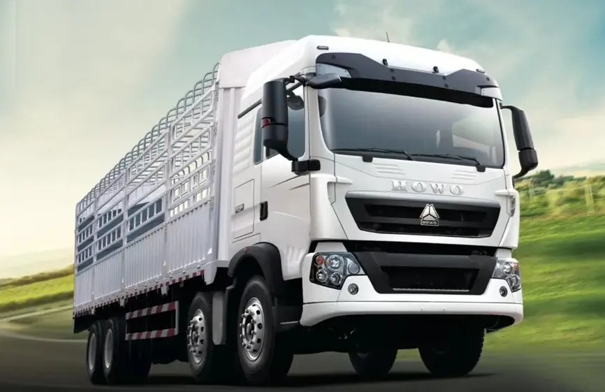 Sinotruck How TX 8×4 Cargo Truck-2